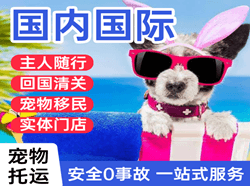 周水子机场空运国际宠物托运 【国